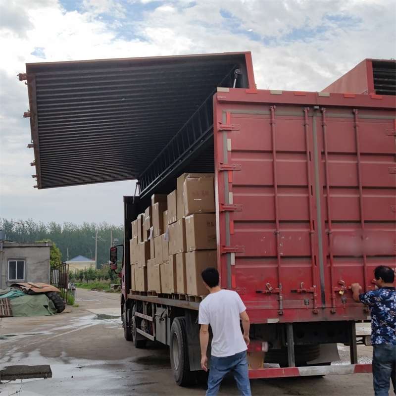 雷鸣镇扎囊县：物流专线的高效货运之旅